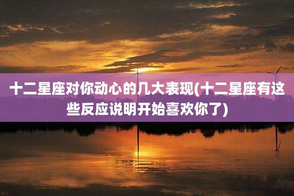 十二星座对你动心的几大表现(十二星座有这些反应说明开始喜欢你了)