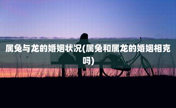 属兔与龙的婚姻状况(属兔和属龙的婚姻相克吗)