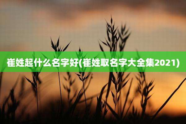崔姓起什么名字好(崔姓取名字大全集2021)