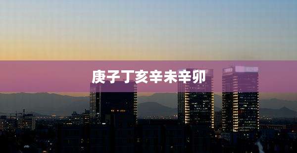 庚子丁亥辛未辛卯