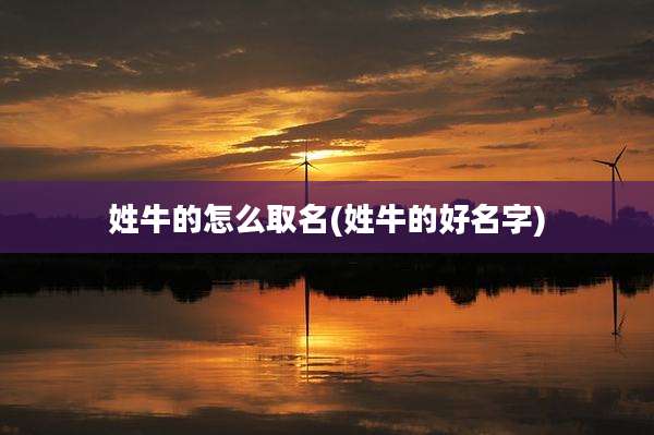姓牛的怎么取名(姓牛的好名字)