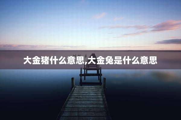 大金猪什么意思,大金兔是什么意思