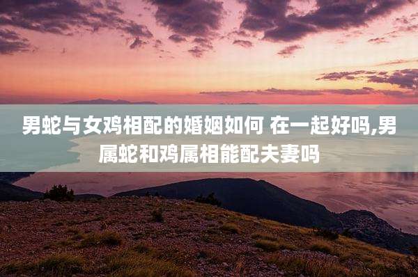 男蛇与女鸡相配的婚姻如何 在一起好吗,男属蛇和鸡属相能配夫妻吗