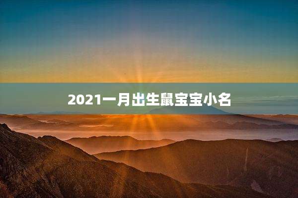 2021一月出生鼠宝宝小名