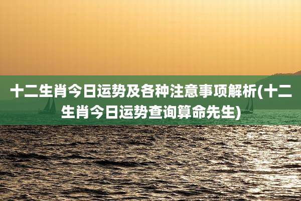 十二生肖今日运势及各种注意事项解析(十二生肖今日运势查询算命先生)