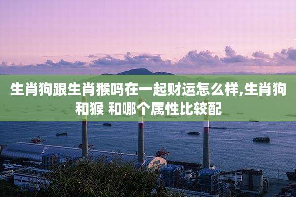 生肖狗跟生肖猴吗在一起财运怎么样,生肖狗和猴 和哪个属性比较配