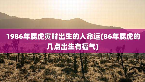 1986年属虎寅时出生的人命运(86年属虎的几点出生有福气)