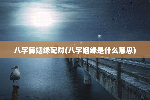 八字算姻缘配对(八字姻缘是什么意思)
