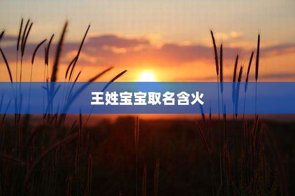 王姓宝宝取名含火