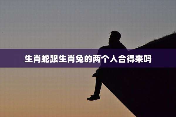 生肖蛇跟生肖兔的两个人合得来吗