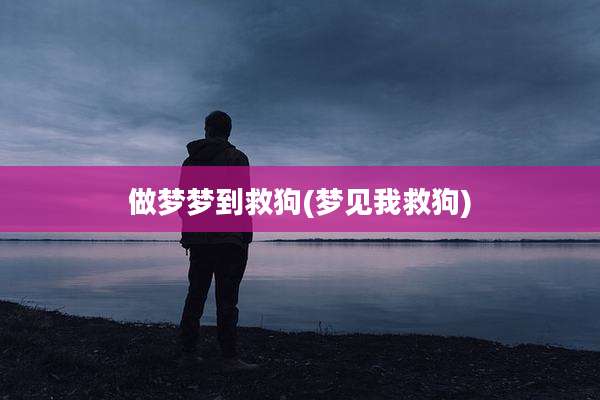 做梦梦到救狗(梦见我救狗)