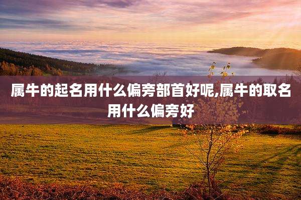 属牛的起名用什么偏旁部首好呢,属牛的取名用什么偏旁好