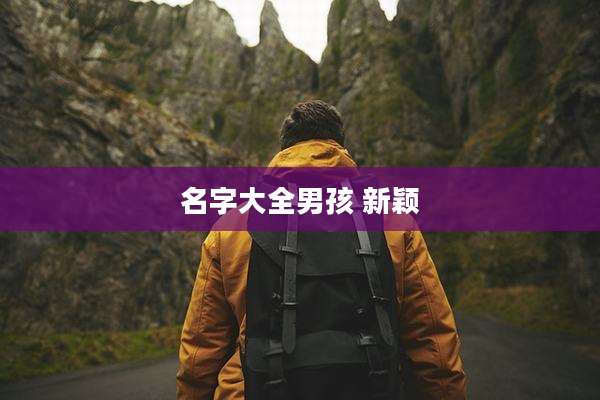 名字大全男孩 新颖