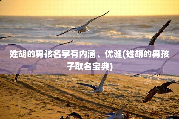 姓胡的男孩名字有内涵、优雅(姓胡的男孩子取名宝典)