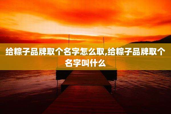给粽子品牌取个名字怎么取,给粽子品牌取个名字叫什么
