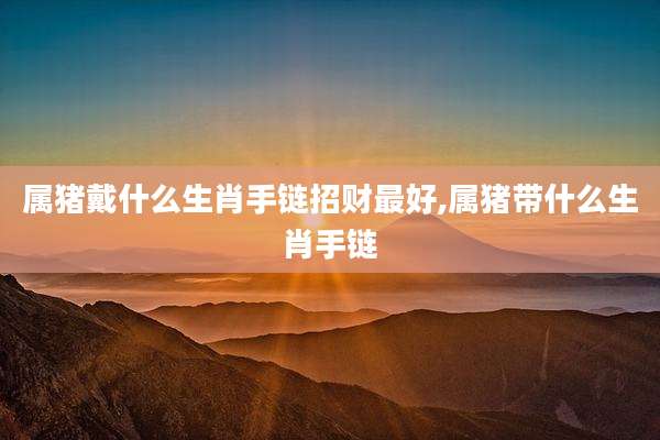 属猪戴什么生肖手链招财最好,属猪带什么生肖手链