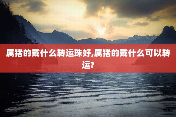 属猪的戴什么转运珠好,属猪的戴什么可以转运?