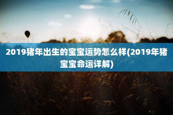 2019猪年出生的宝宝运势怎么样(2019年猪宝宝命运详解)