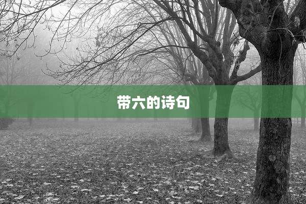 带六的诗句