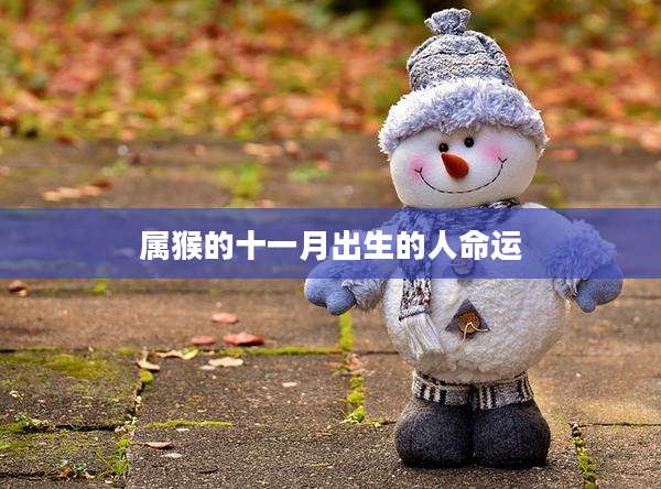 属猴的十一月出生的人命运