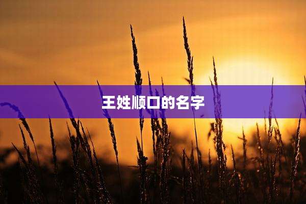 王姓顺口的名字