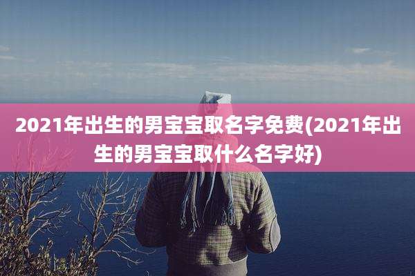 2021年出生的男宝宝取名字免费(2021年出生的男宝宝取什么名字好)