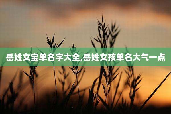 岳姓女宝单名字大全,岳姓女孩单名大气一点