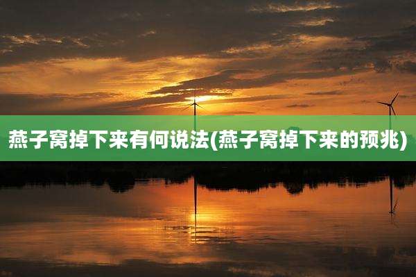 燕子窝掉下来有何说法(燕子窝掉下来的预兆)