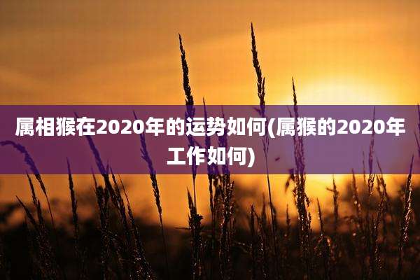 属相猴在2020年的运势如何(属猴的2020年工作如何)
