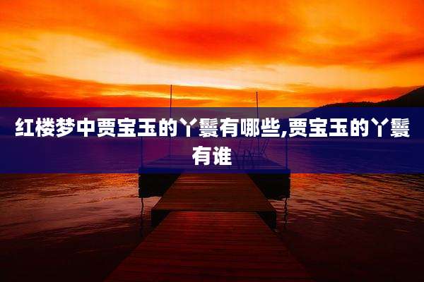 红楼梦中贾宝玉的丫鬟有哪些,贾宝玉的丫鬟有谁
