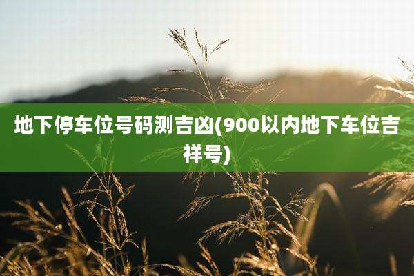 地下停车位号码测吉凶(900以内地下车位吉祥号)
