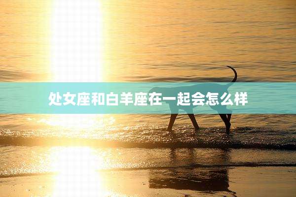 处女座和白羊座在一起会怎么样