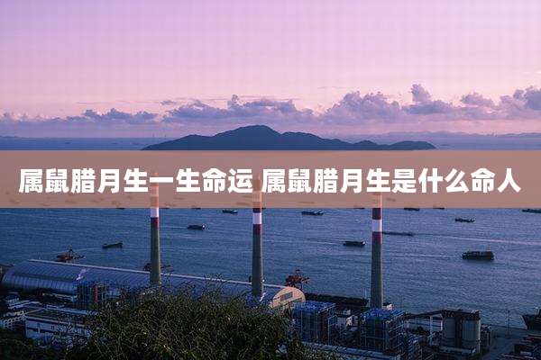 属鼠腊月生一生命运 属鼠腊月生是什么命人