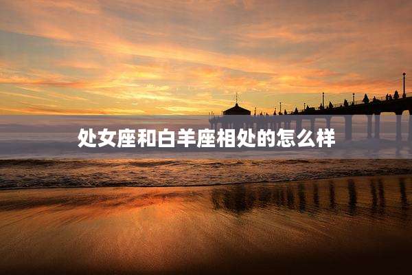 处女座和白羊座相处的怎么样