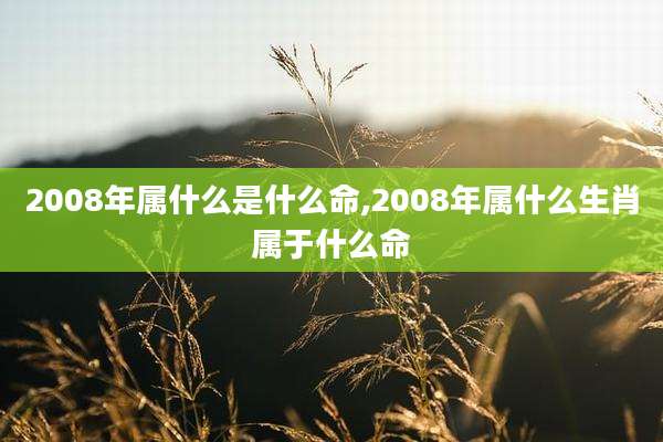 2008年属什么是什么命,2008年属什么生肖属于什么命