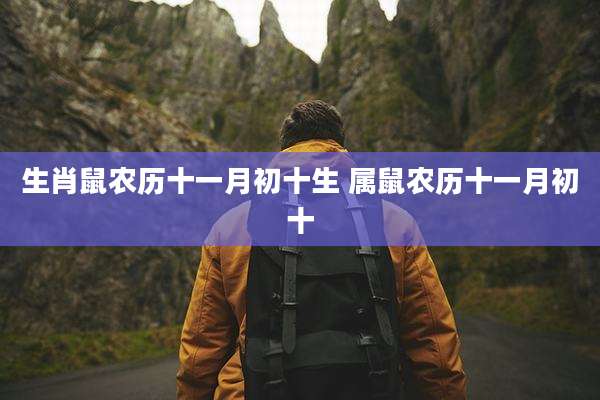 生肖鼠农历十一月初十生 属鼠农历十一月初十