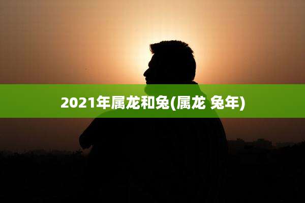 2021年属龙和兔(属龙 兔年)