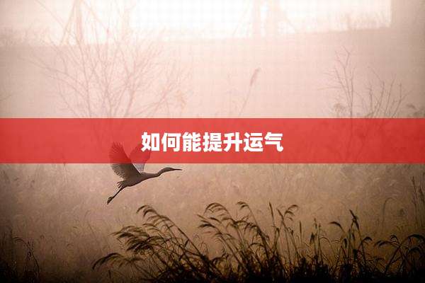 如何能提升运气