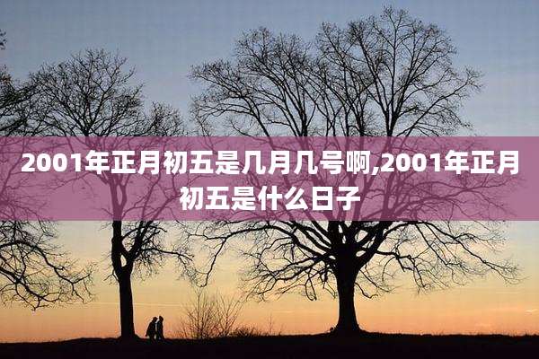 2001年正月初五是几月几号啊,2001年正月初五是什么日子