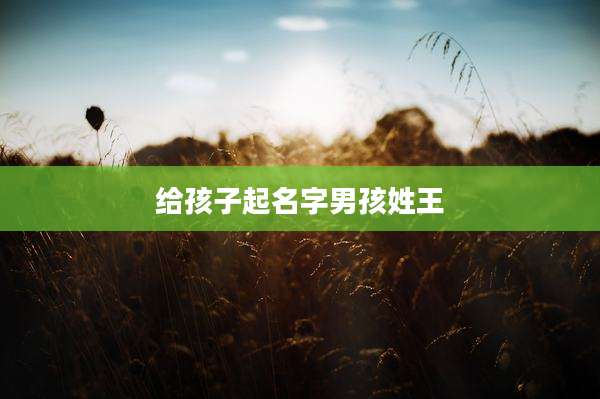 给孩子起名字男孩姓王