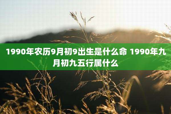 1990年农历9月初9出生是什么命 1990年九月初九五行属什么