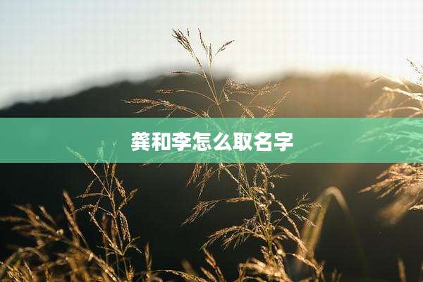 龚和李怎么取名字