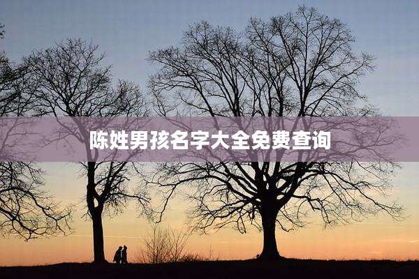 陈姓男孩名字大全免费查询