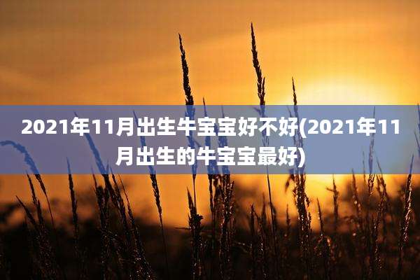 2021年11月出生牛宝宝好不好(2021年11月出生的牛宝宝最好)
