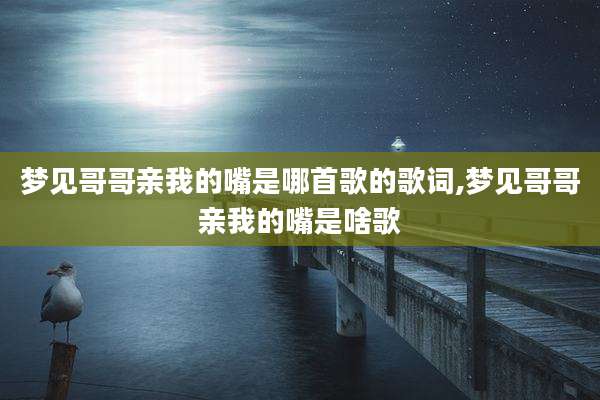 梦见哥哥亲我的嘴是哪首歌的歌词,梦见哥哥亲我的嘴是啥歌