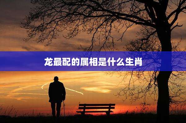 龙最配的属相是什么生肖
