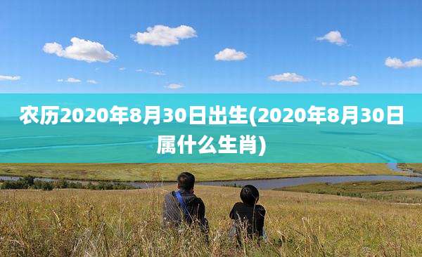 农历2020年8月30日出生(2020年8月30日属什么生肖)