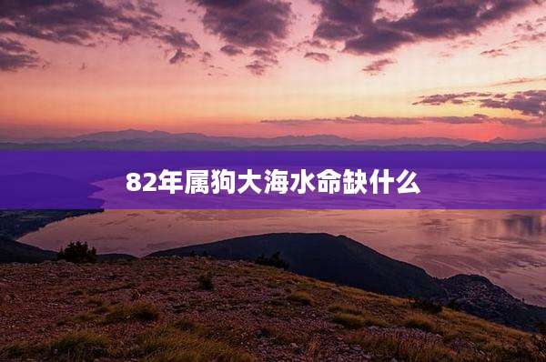 82年属狗大海水命缺什么