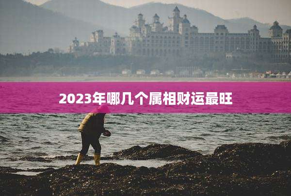 2023年哪几个属相财运最旺