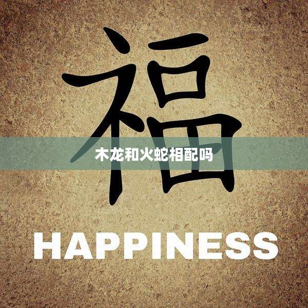 木龙和火蛇相配吗